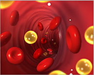 Illustration of cholesterol in your blood